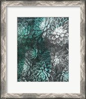 Framed Colored Succulents II