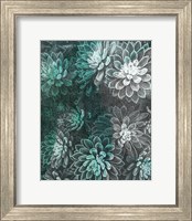 Framed Colored Succulents II