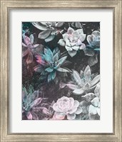 Framed Colored Succulents III