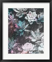 Framed Colored Succulents III