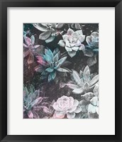 Framed Colored Succulents III