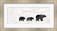 Framed Bear Family