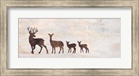 Framed Deer Family