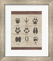 Framed Paw Prints