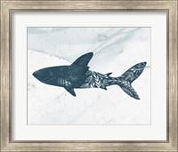 Framed Shark