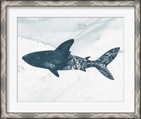 Framed Shark