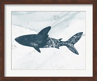 Framed Shark