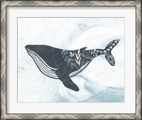 Framed Whale