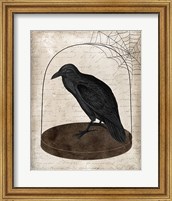 Framed Raven Jar