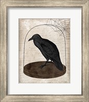 Framed Raven Jar