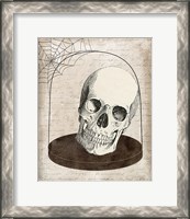 Framed Skull Jar
