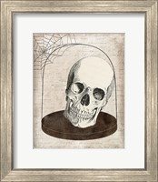 Framed Skull Jar