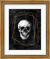 Framed Cosmic Skull