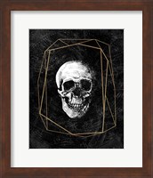 Framed Cosmic Skull