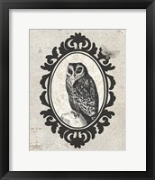 Framed Celestial Owl