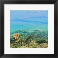 Framed Clear Water