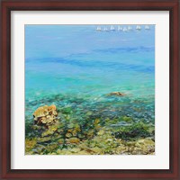 Framed Clear Water