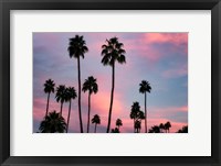 Framed Palm Sunset