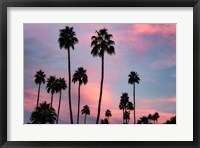 Framed Palm Sunset