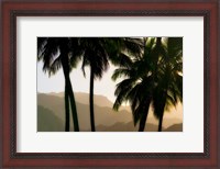 Framed Misty Palms II
