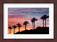 Framed Palm Tree Sunset