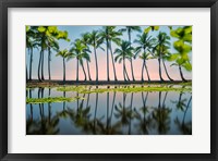 Framed Palm Tree Reflections