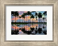 Framed Palm Reflections