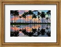 Framed Palm Reflections