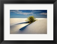 Framed Dune