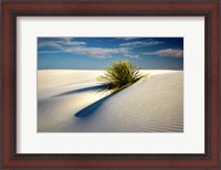 Framed Dune