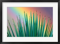 Framed Prism Plant