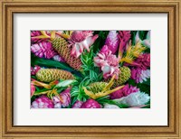 Framed Tropical Floral