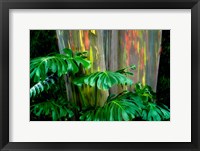 Framed Tropical Leaves