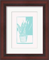 Framed Mint Snake Plant