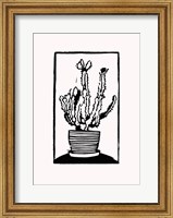 Framed Black Cactus