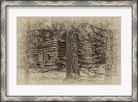 Framed Cabin in the Woods