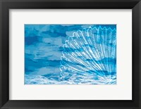 Framed Blue Coastal III