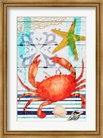 Framed New England Crab