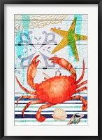 Framed New England Crab