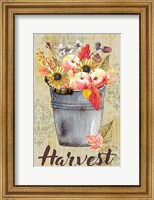 Framed Harvest