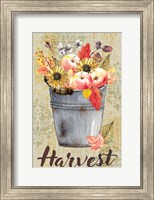 Framed Harvest