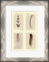 Framed Traditional Figurative Feathers