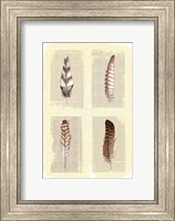 Framed Traditional Figurative Feathers