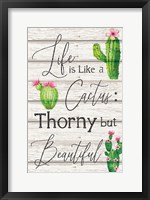 Framed Life is Like a Cactus