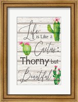 Framed Life is Like a Cactus