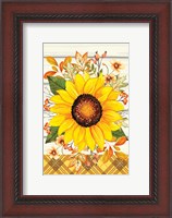 Framed Sunflower