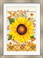 Framed Sunflower