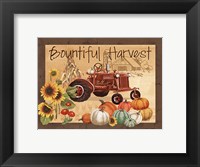 Framed Bountiful Harvest
