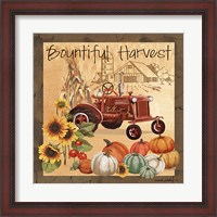 Framed Bountiful Harvest II