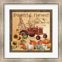 Framed Bountiful Harvest II